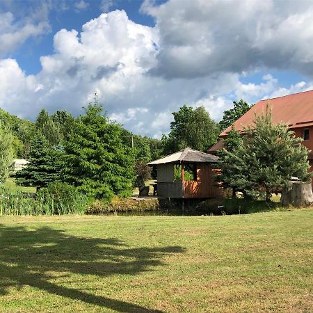 Agroturystyka Andrzejowka Czerniki Bagian luar foto