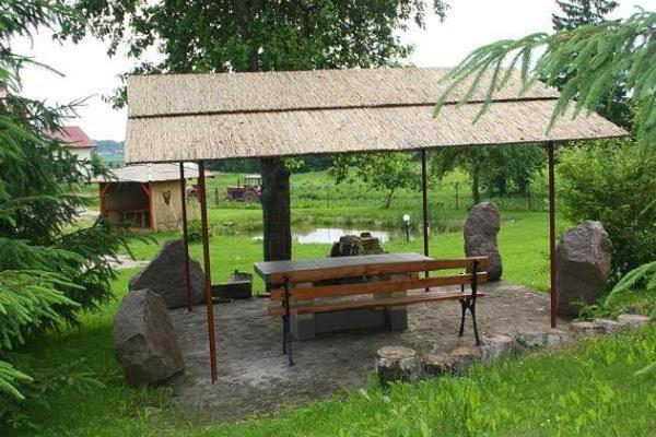 Agroturystyka Andrzejowka Czerniki Bagian luar foto