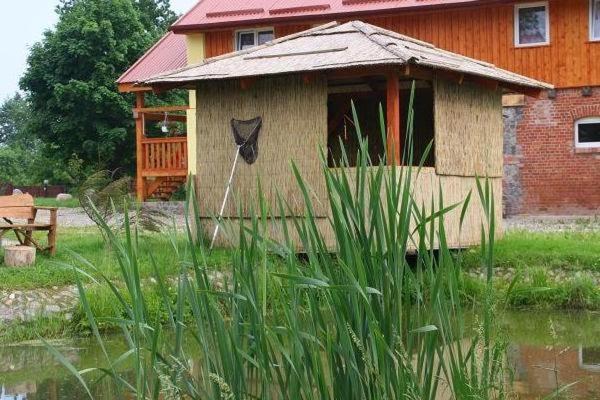 Agroturystyka Andrzejowka Czerniki Bagian luar foto