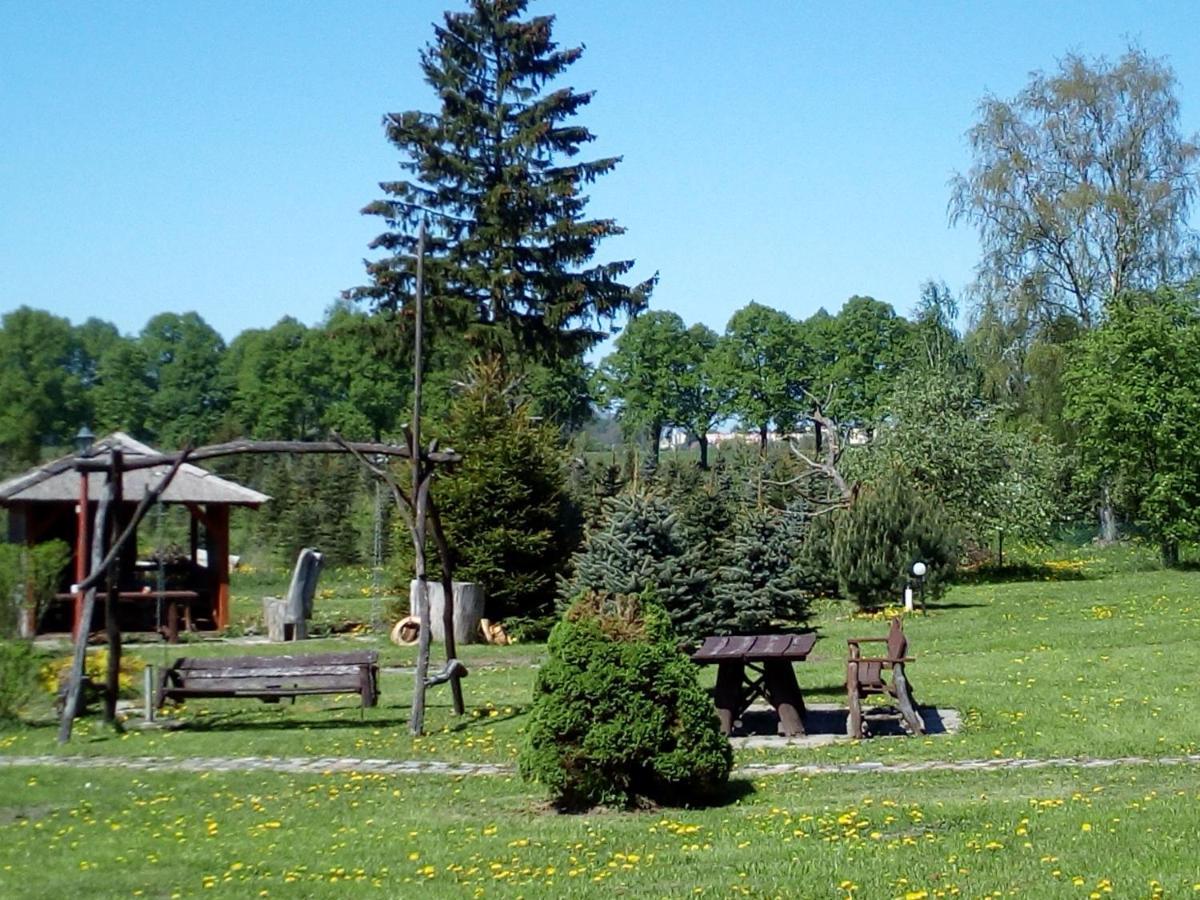 Agroturystyka Andrzejowka Czerniki Bagian luar foto